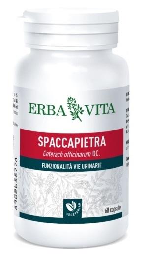 Erba Vita Spaccapietra Integratore Vie Urinarie e Drenaggio Liquidi 60 Capsule