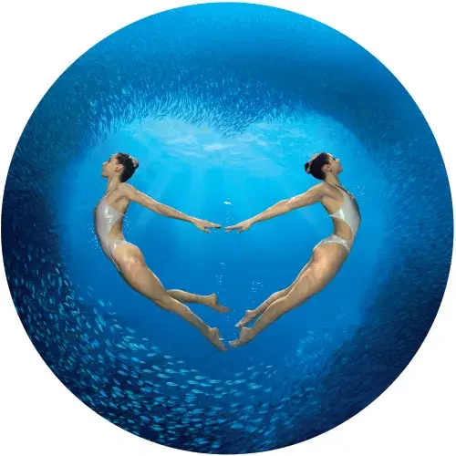 Colesterolo e Pressione