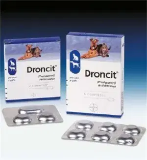 Droncit 2 Compresse Per Cani E Gatti 50 mg