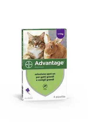 Antiparassitario Advantage Spot On 4 Pipette 0,8 ml per Gatti