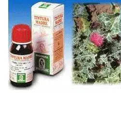 Specchiasol Cardo Mariano 6 Tintura Madre 50 ml