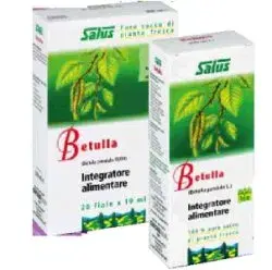 Betulla Succo Bio 200ml