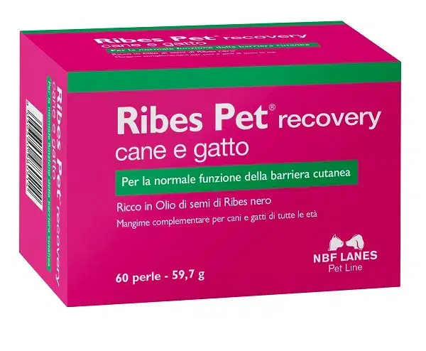 Nbn Lanes Ribes Pet Recovery Integratore Dermatite Cani E Gatti 60 Perle