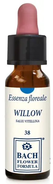 Erba Vita Willow Essenza Floreale Integratore Alimentare in Gocce 10 ml
