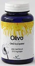 OLIVO 60CPS
