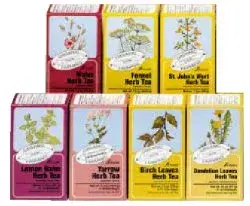 Salus Tisana alla Rosa Canina con Vitamina C 15 Filtri