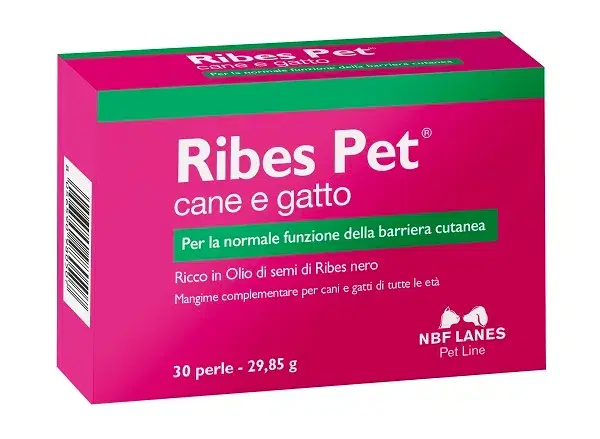 N.b.f. Lanes Ribes Pet Blister 30 Perle