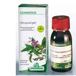 Specchiasol Gemmosol 28 Olivo 50ml