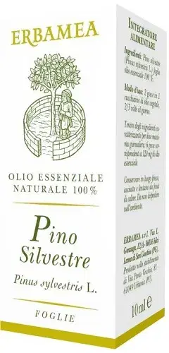 PINO SILVESTRE 10ML