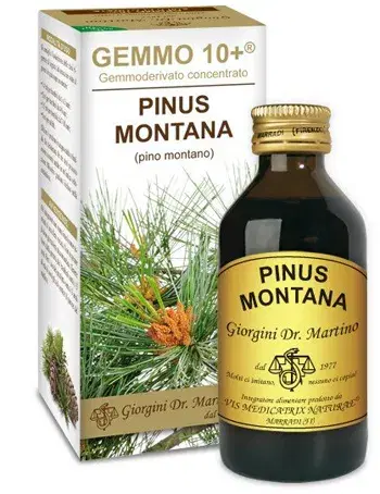Pino Mugo Montano Estratto Analcolico Gemmoderivato 100ml