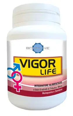 Vigor Life Integratore Energetico con Vitamine 40 Capsule