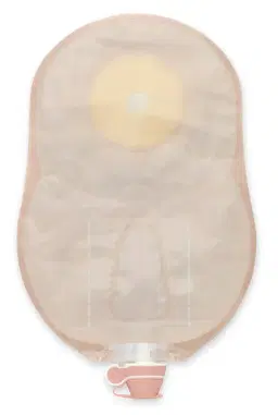 265508.jpg