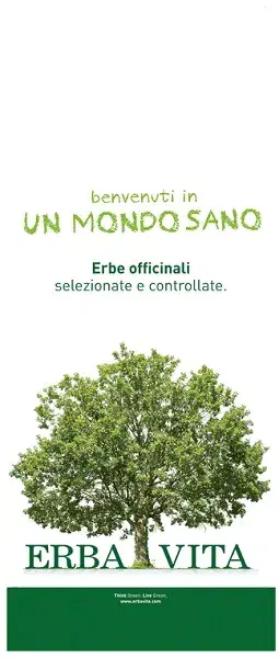 Argilla Verde Super Ventilata 1 kg