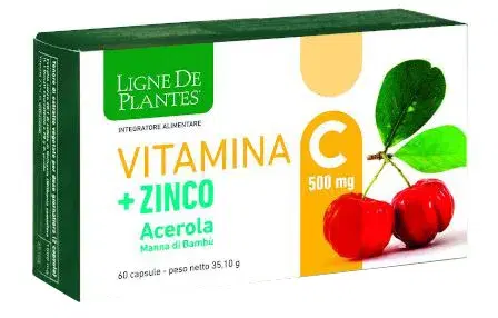 Vitamina C 500mg con Zinco, Acido Ascorbico e Bacche 60 Capsule