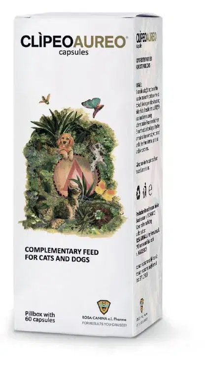 CLIPEO AUREO 60CPS