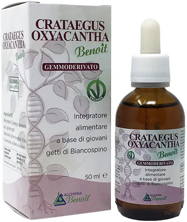 CRATAEGUS OXIANTA GEMM 50ML