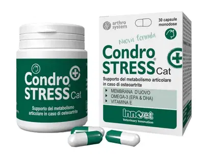 Innovet Condrostress+ Cat Integratore Articolare Contro Osteoartrite Gatti 30 Ca