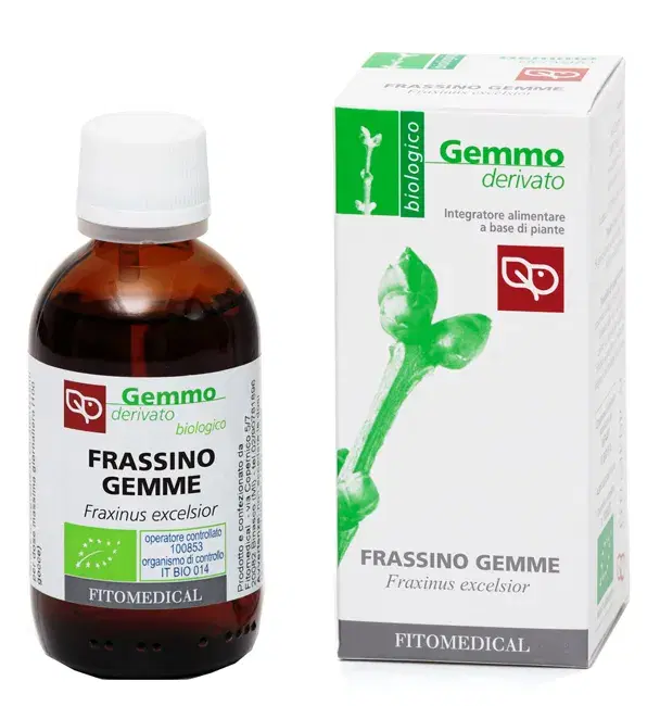 Frassino Gemme Macerato Glicerico Bio 50ml