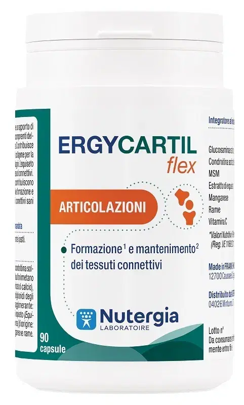 ERGYCARTIL FLEX 90CPS