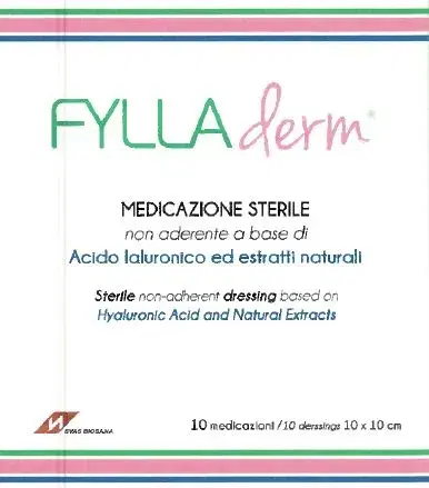 Fylladerm Med Acido Ialuronico 10x10cm 10 Bende