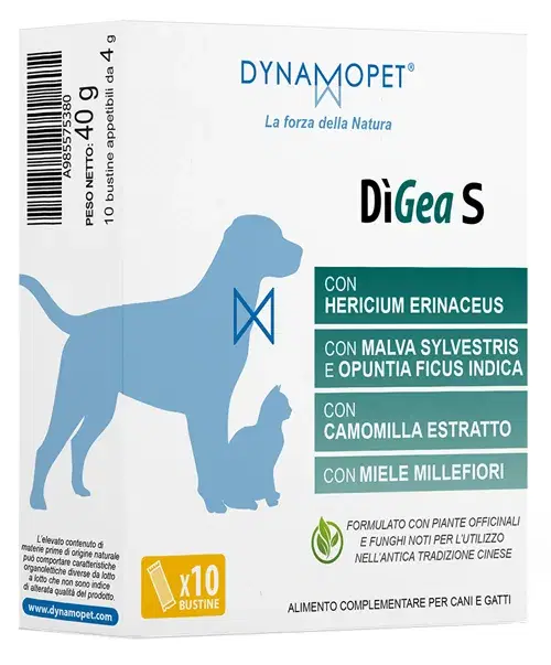 DIGEA S 10BUST