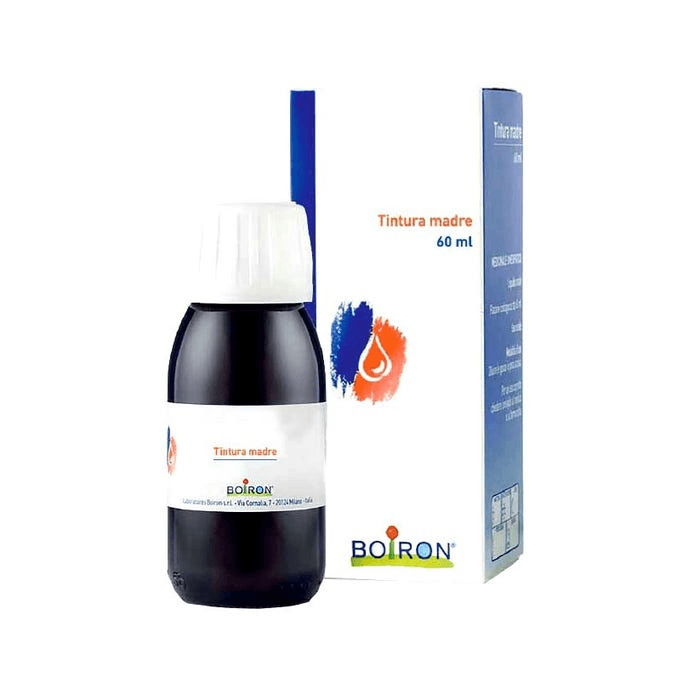 Angelica Arcangelica Boiron Tintura Madre 60ml