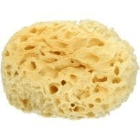 BM Spugna di Mare Naturale Taglia L 1 Pezzo