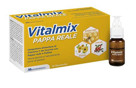 Vitalmix Pappa Reale Energia per l'Organismo Tonico con Vitamina B 10Flaconcini