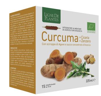 Curcuma Cicoria Zenzero Infuso Digestivo e Depurativo 15 Filtri