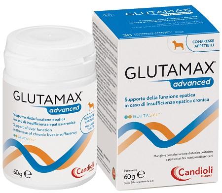 Glutamax Advanced Pasta Mangime Complementare Per Cani/Gatti 30 Compresse