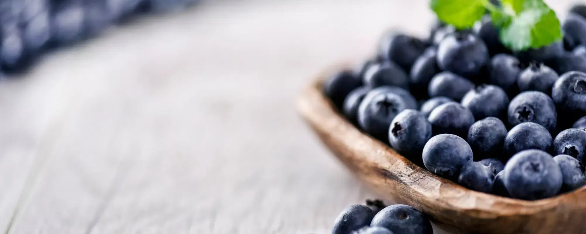 Tutte le proprietà del mirtillo nero per la pelle e il corpo