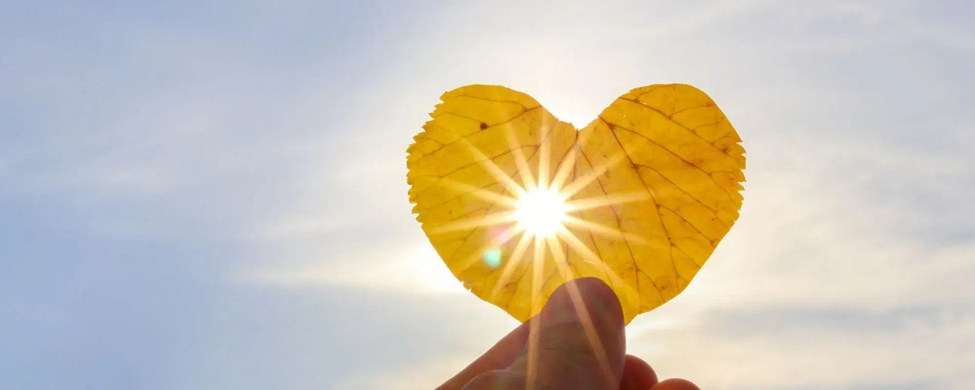 La luce del sole: benefici e danni del sole