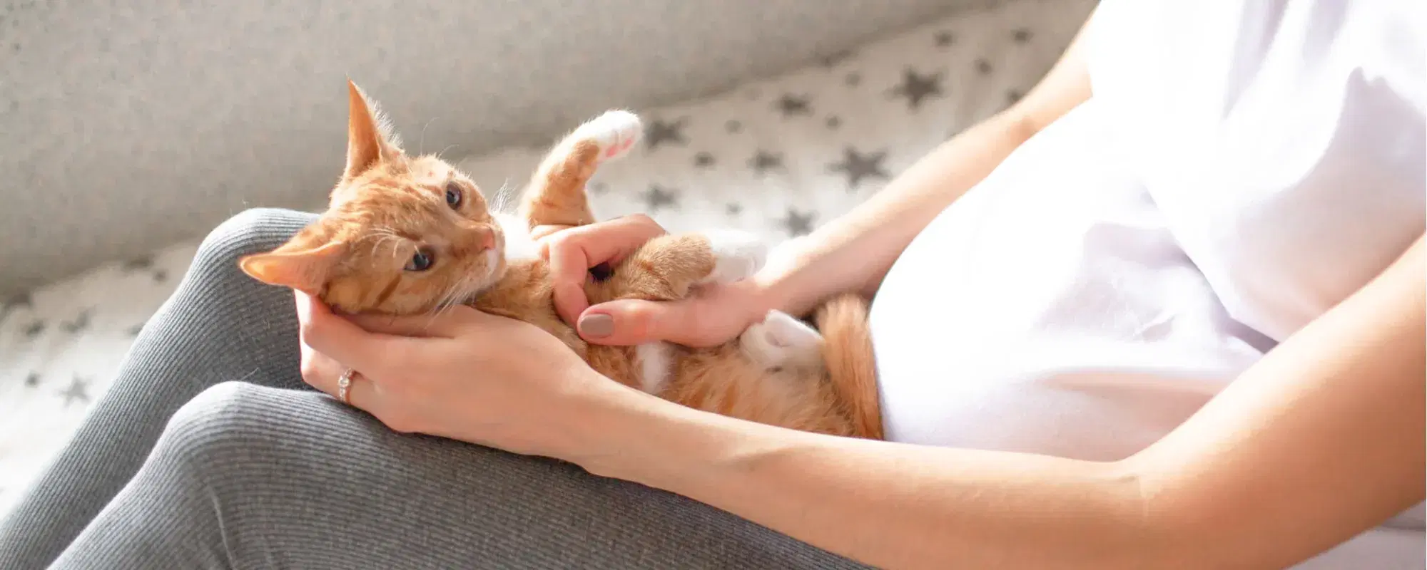 Toxoplasmosi