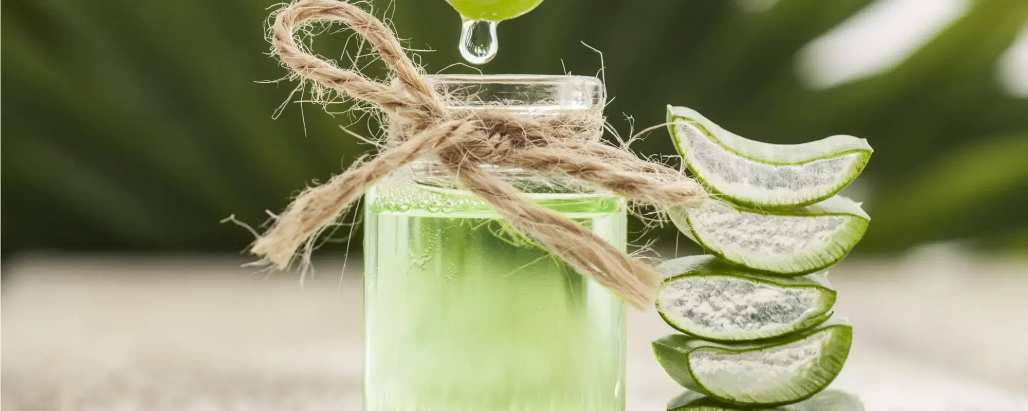 Aloe vera: i benefici per pelle, viso e corpo della pianta miracolosa