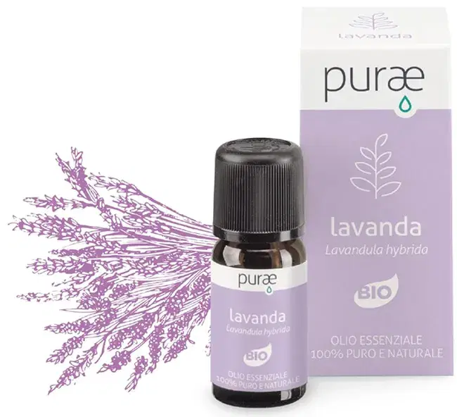Purae Lavanda Ibrida Bio 10 ml