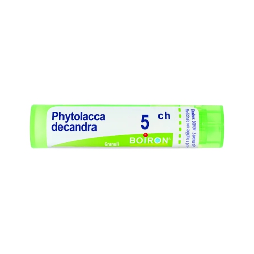 Boiron Phytolacca Decandra Boiron Phytolacca decandra*5ch 80gr
