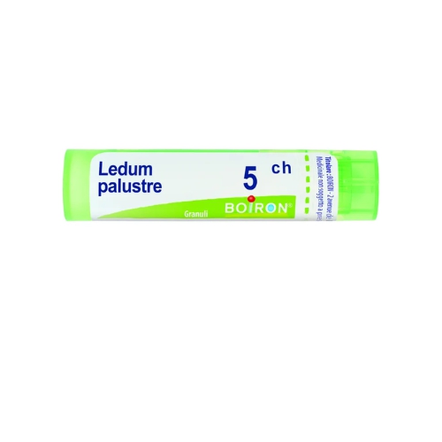 Boiron Ledum Palustre 5ch Gr