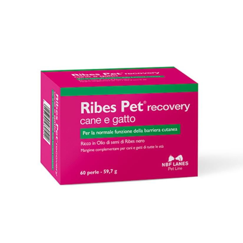 Nbn Lanes Ribes Pet Recovery Integratore Dermatite Cani E Gatti 60 Perle