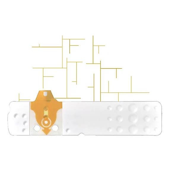 Linea D Oro 25 Strisce Glicemia