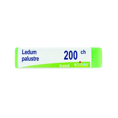  Boiron Ledum Palustre 200 CH Globuli Tubo