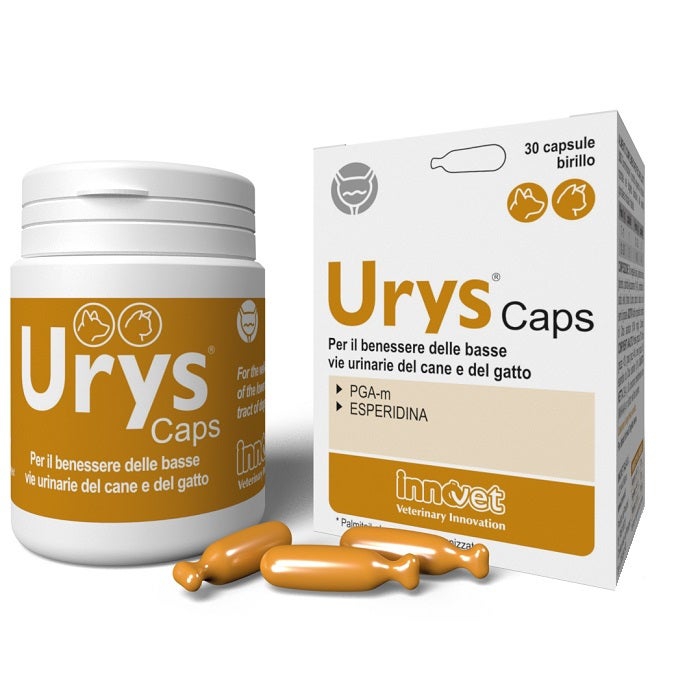 Innovet Urys Caps Integratore Vie Urinarie Cane e Gatto 30 Capsule Birillo