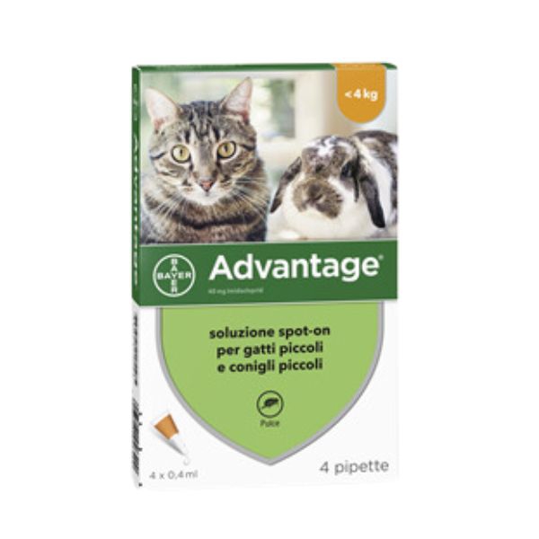 Antiparassitario Spot-On Advantage per gatti, confezione da 4 pipette da 0,4 ml, efficace contro pulci e altri parassiti