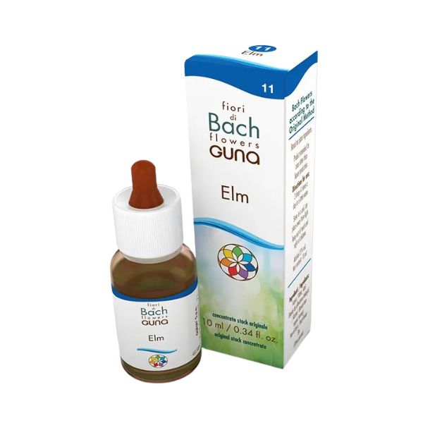  Essenza floreale di Elm, utilizzata per alleviare lo stress e favorire il senso di controllo e sicurezza.