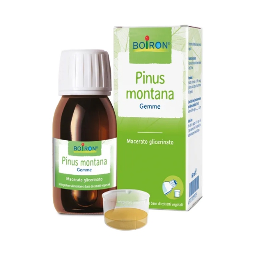 Pinus Montana Macerato Glicerico 60ml