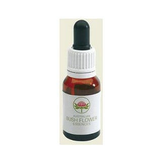 Red Suva Frangipani Australian 15ml