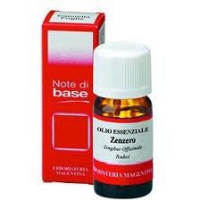 Erboristeria Magentina Olio Essenziale Zenzero Stimolante Digestivo 10 ml
