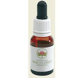 Bush Flower Essences Fiori Australiani She Oak Gocce 15 ml