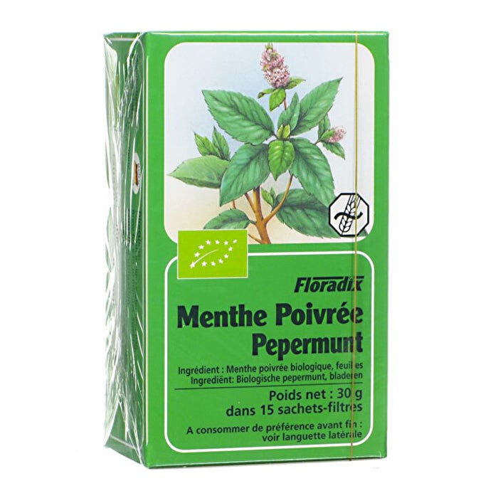 Floradix Menta Piperita Infuso BIo 15 filtri