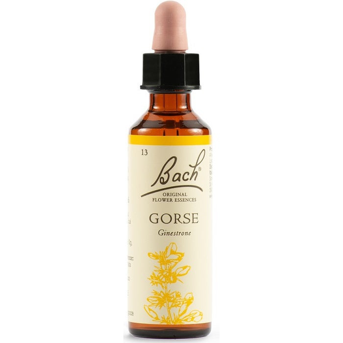 Schwabe Bach Gorse Fiori Di Bach Gocce 20 ml