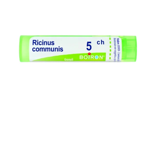 Ricinus Communis 5Ch 80Gr 4G 